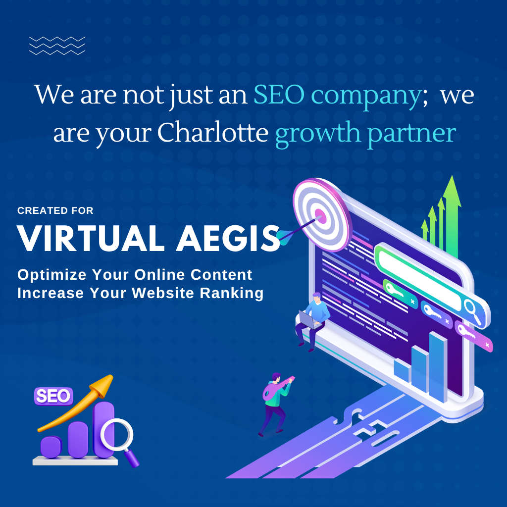 SEO company Charlotte VirtualAegis experts